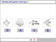 Aufgabenbild logisches Denken: Gemeinsamkeiten Bilder